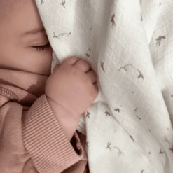 Aden + Anais™ Essential S Silky Soft Puck Cloth 2-pack Healing Nature 120 X 120 Cm -Tienda De Cuidado Del Bebé aden anais essential s silky soft puck cloth 2 pack healing nature 120 x 120 cm a383655 4