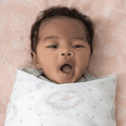 Aden +anais™ Musslin Puck Cloth 4-Pack Blusching Bunnies 112 X 112 10 Aden +anais™ Musslin Puck Cloth 4-Pack Blusching Bunnies 112 X 112 -Tienda De Cuidado Del Bebé aden anais musslin puck cloth 4 pack blusching bunnies 112 x 112 a410134 3