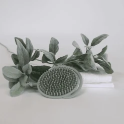 Haakaa® Cepillo Para Champú -Tienda De Cuidado Del Bebé haakaa cepillo para champu a345454 4