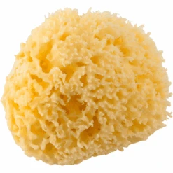 Rotho Babydesign Esponja Mediterránea